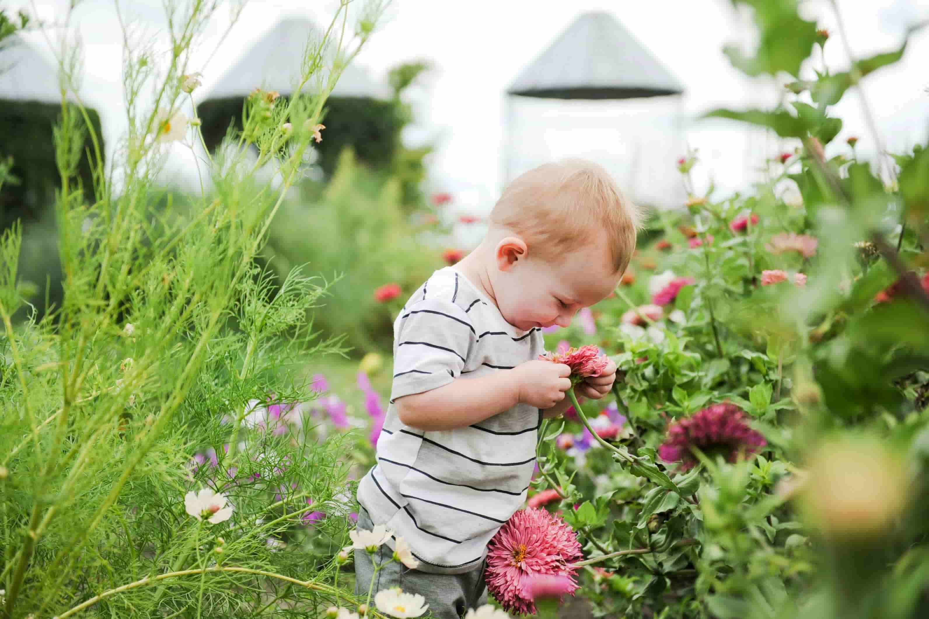 Child holding a flower