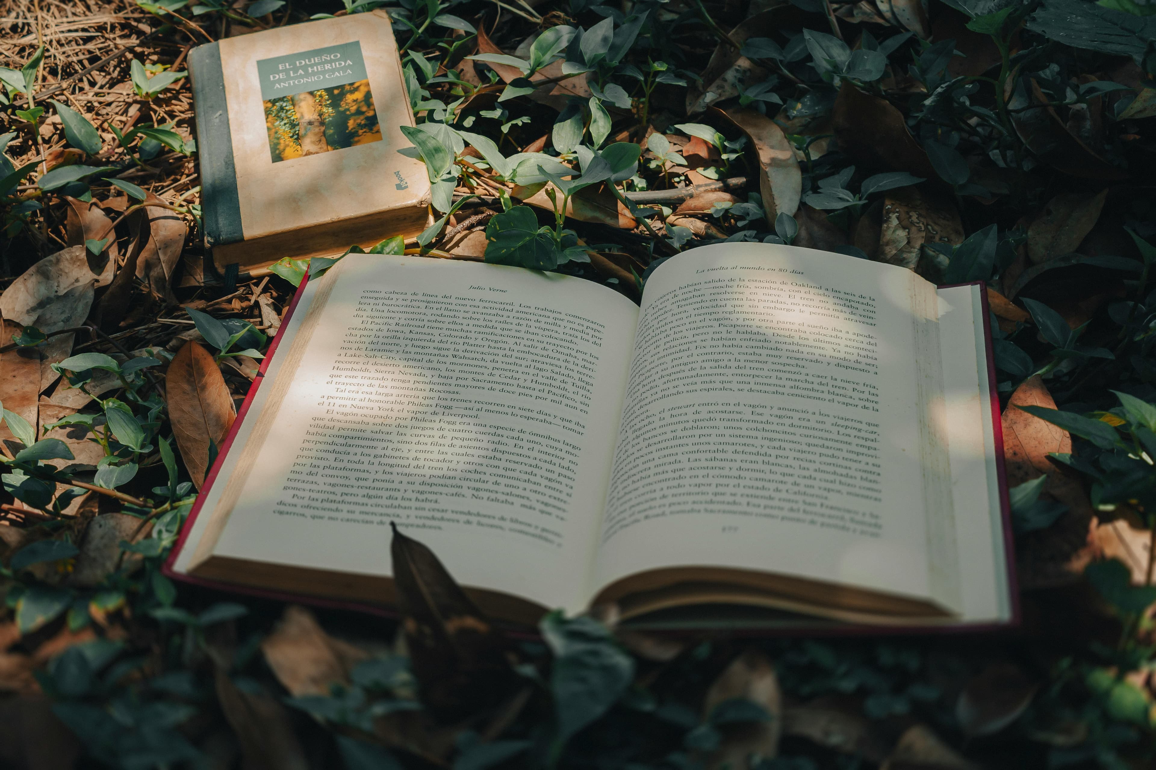 An open book