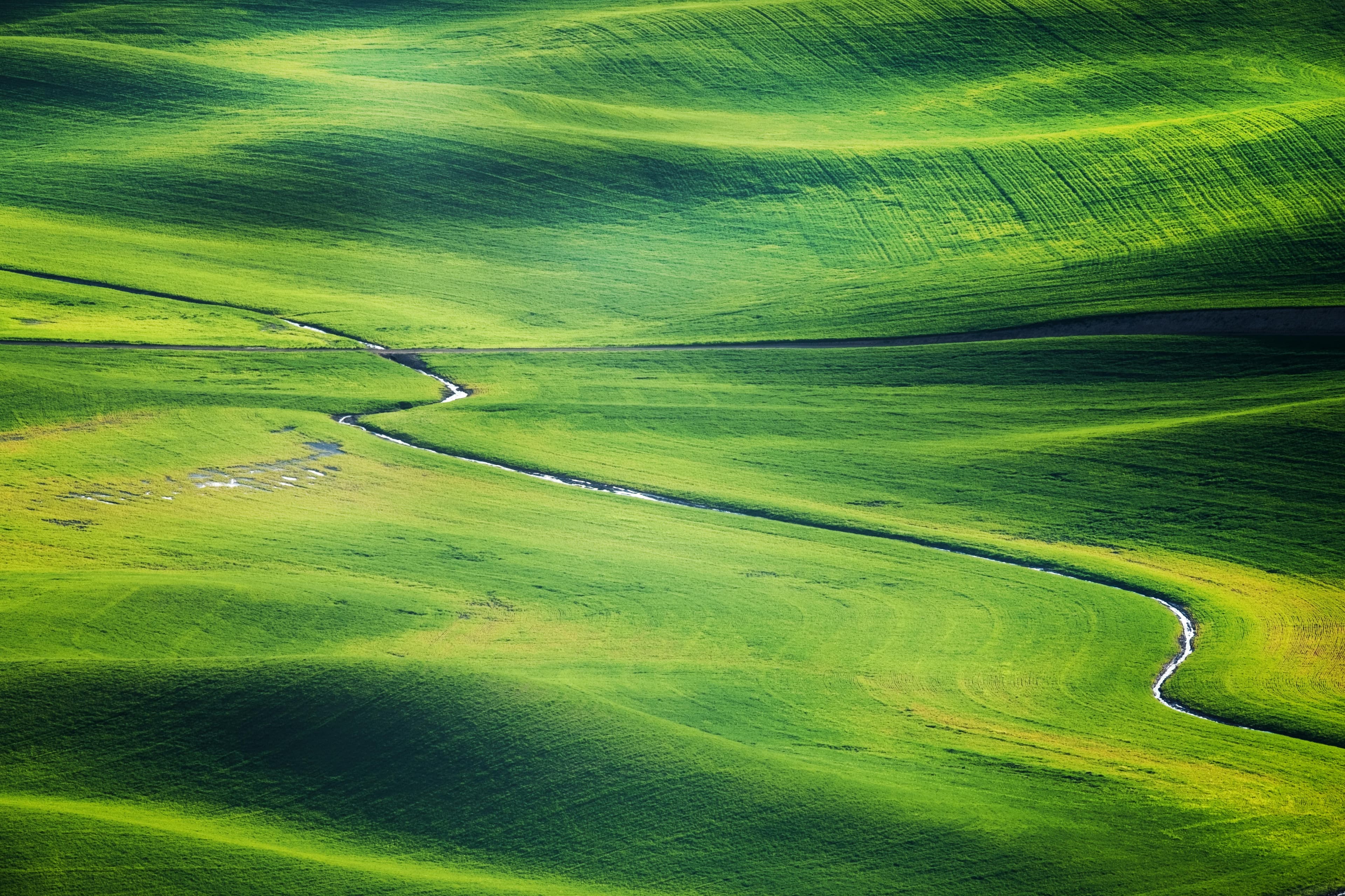 A vast green grassfield