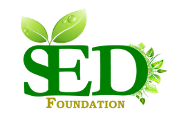 Wordmark of SED Foundation
