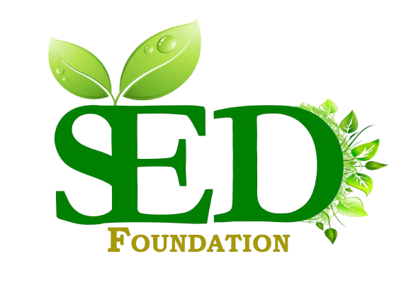Wordmark of SED Foundation